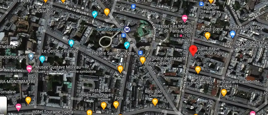 Salon de coiffure à Paris