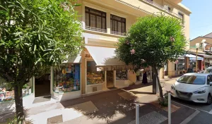 Leamuri à Antibes