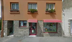 Hair Style Coiffure – Coloration végétale et coiffeur bio à Moëlan-sur-Mer